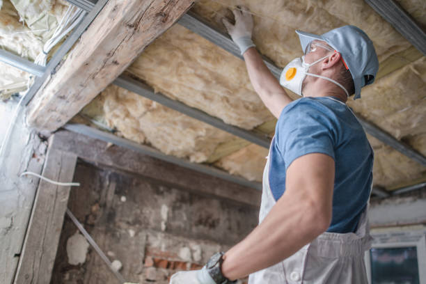 Best Insulation Contractors for Homes  in Broadlands, VA